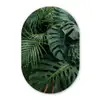 Planten - Jungle - Bladeren - Tropisch Wandcirkel Ovaal Forex klein -3d