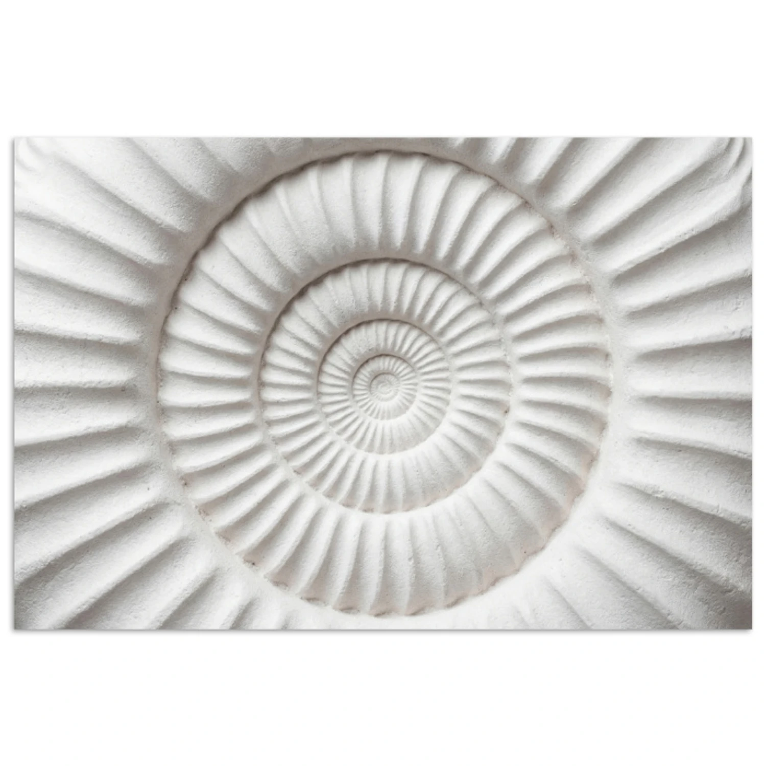 Losse posters - Schelp - Spiraal - Wit - Bestel nu voordelig op Topdoek.nl!