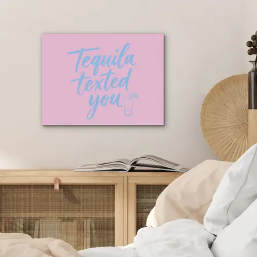 Tequila texted you - Roze - Blauw PET vilt klein -sfeer3