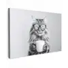 Kat - Bril - Mok - Pluizig canvas 2cm klein -z3d