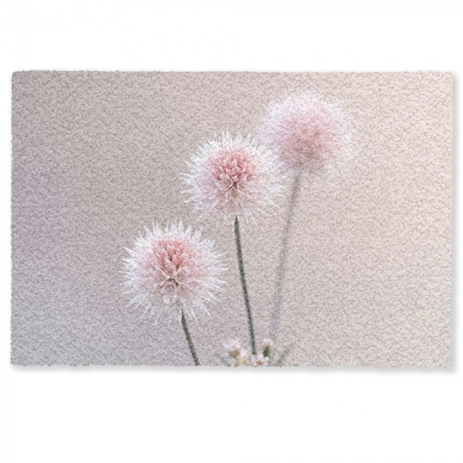 Bloemen - Bollen - Roze Deurmat klein -zkaufland3d