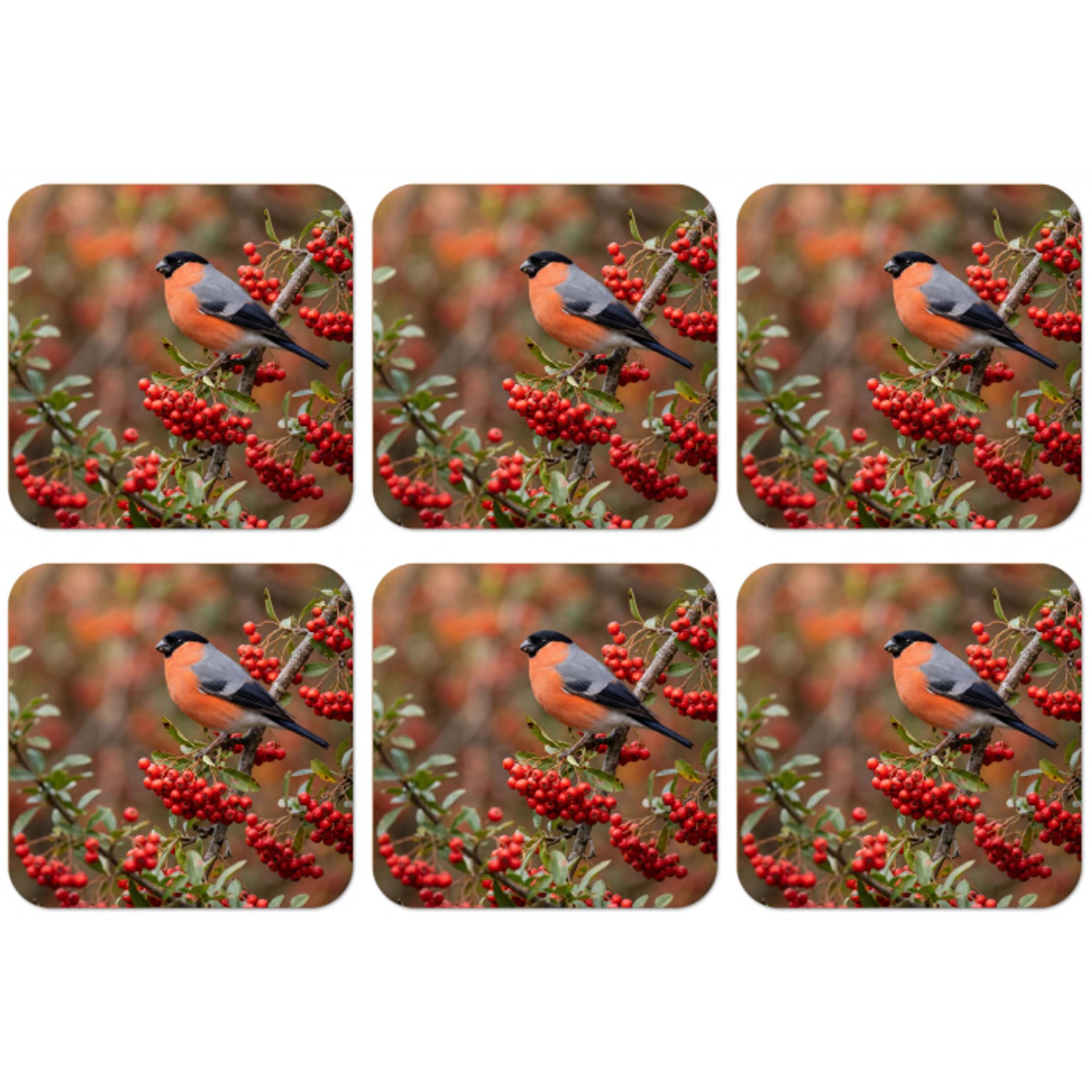Goudvink - Bessen - Herfst - Natuur - Kleurrijk onderzetter kurk middel -zkaufland3dotto
