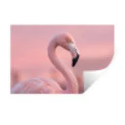 Flamingo - Portret - Roze Muursticker klein -3d