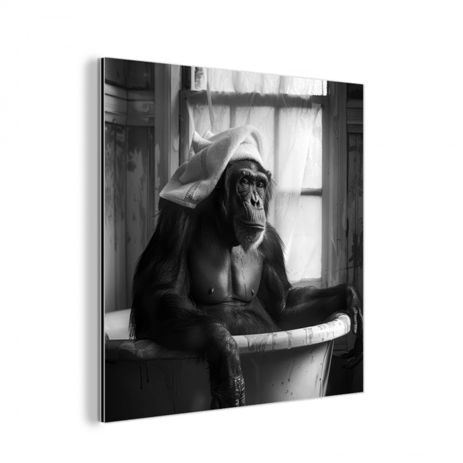 Aap - Dier - Bad - Zwart - Wit - Humor aluminium wit klein -3d