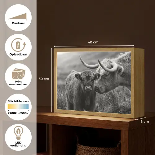 Schotse hooglander - Kalf - Zwart - Wit Light Box met batterij (Wandlamp) middel -USP_websiteoverzichtNL
