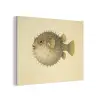 Stekels - Vis - Opgeblazen - Bruin PET vilt klein -3d