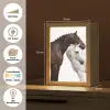 Paard - Modern - Balans Light Box met kabel (Tafellamp) klein -USP_websiteoverzichtDE
