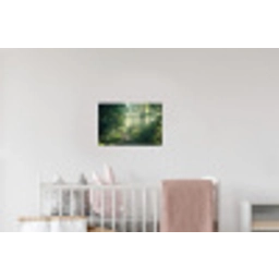 Bos - Pad - Zon - Bomen - Groen - Natuur Muursticker klein -kinderkamer