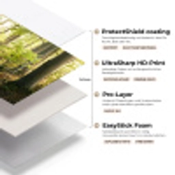 Bos - Bomen - Pad - Zon - Planten - Bladeren - Natuur keuken achterwand sample klein -USP_lagenDE