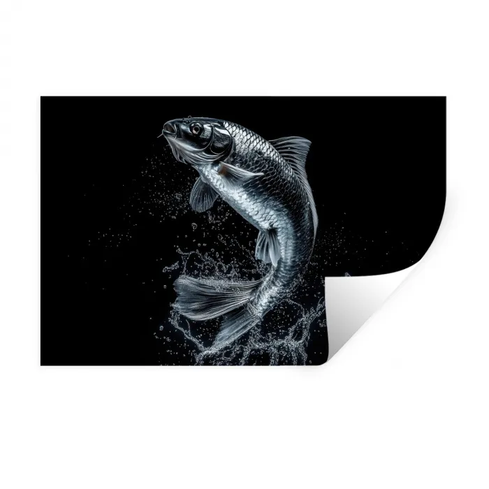 Vis - Koi - Zwart - Water Muursticker klein -3d