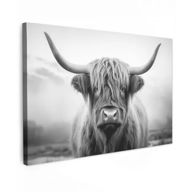Schotse hooglander - Mist - Zwart - Wit canvas 2cm klein -z3d