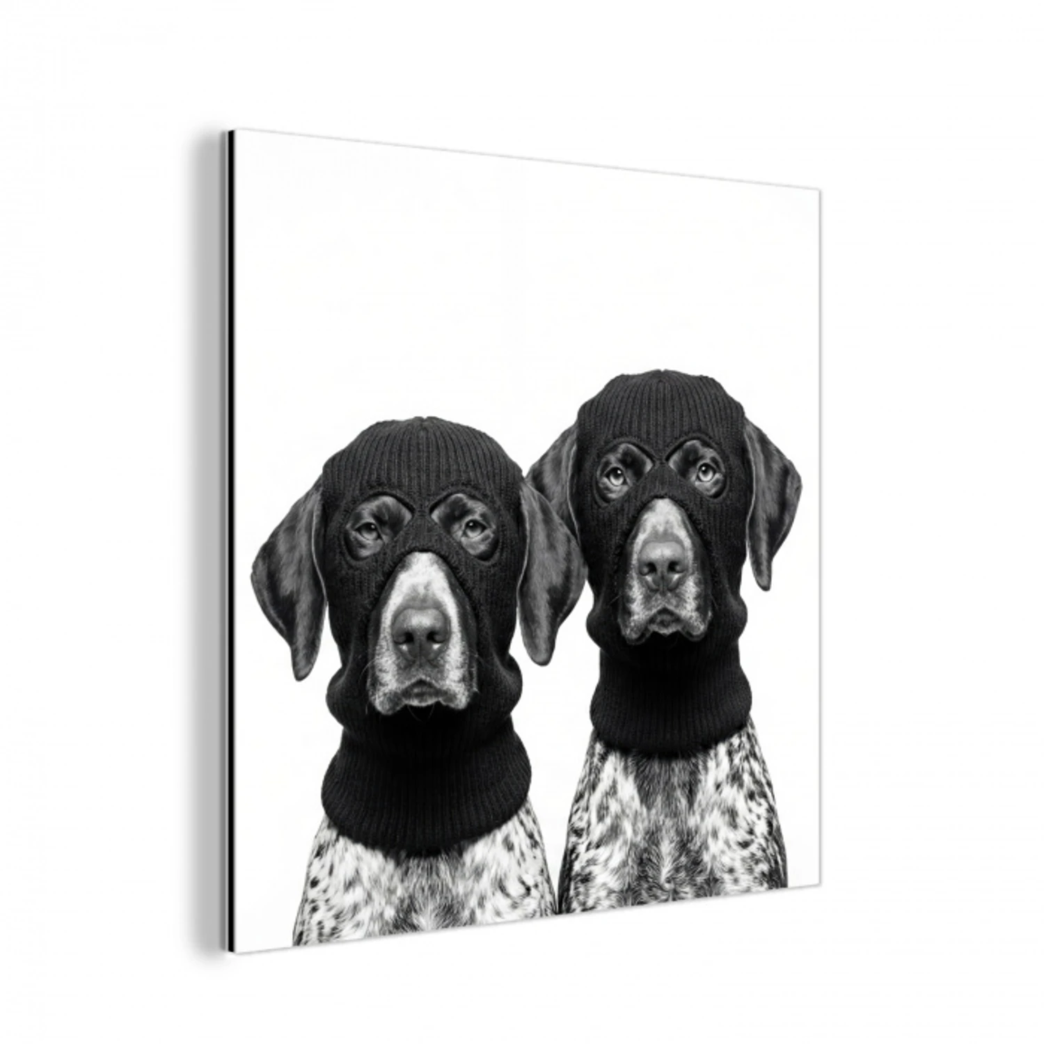 Honden - Bivakmuts - Zwart - wit aluminium wit klein -3d