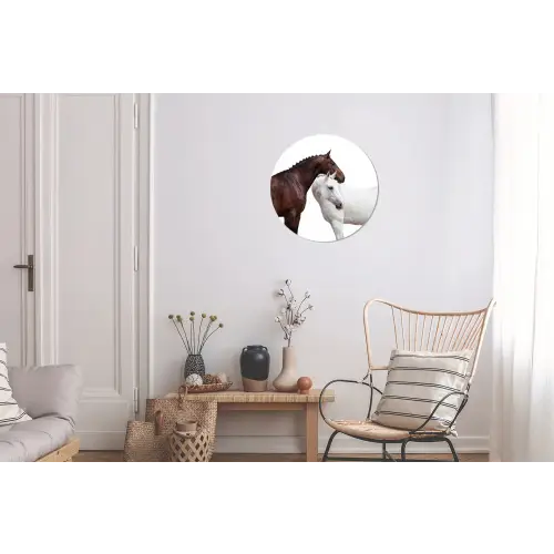 Paard - Modern - Balans Wandcirkel aluminium klein -woonkamer