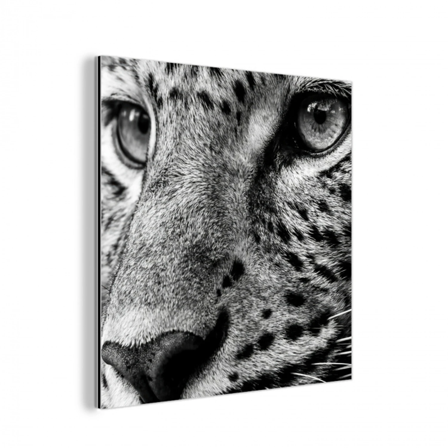 Luipaard - Zwart - Wit - Oog aluminium wit klein -3d