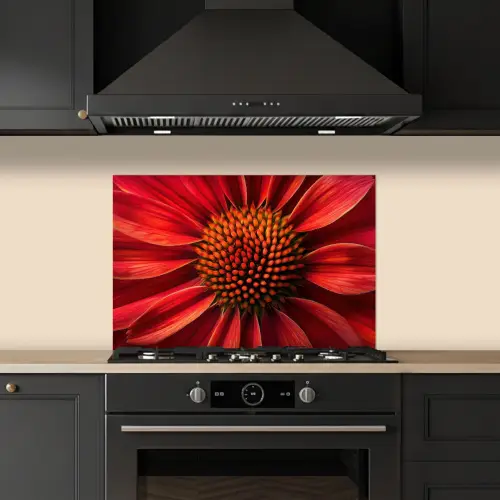 Close up - Bloem- Rood keuken achterwand spatscherm klein -sfeer1