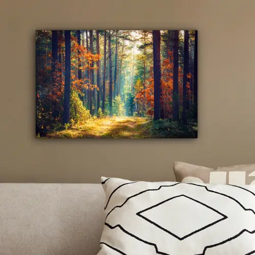 Bos - Zon - Natuur - Herfst canvas 2cm klein -sfeer3