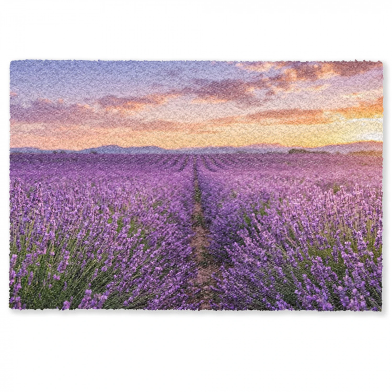 Lavendel - Veld - Natuur - Paars Deurmat klein -zkaufland3d