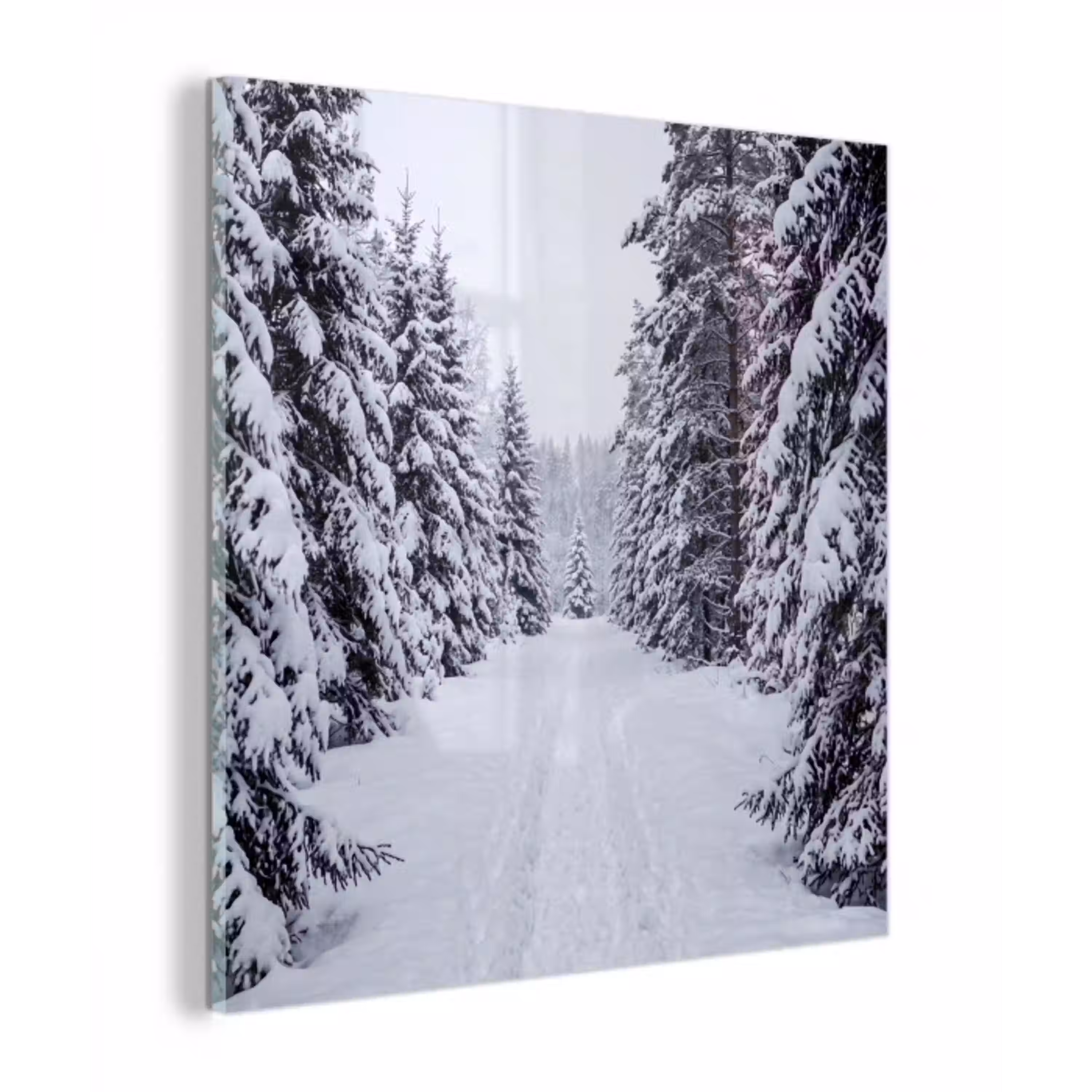 Bos - Winter - Sneeuw - Pad - Natuur plexiglas 5mm klein -z3d