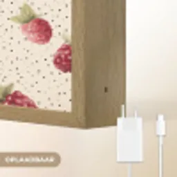 Framboos - Stippen - Rood Light Box met batterij (Wandlamp) middel 907 -USP_websiteoplaadbaarNL