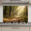 Zonlicht - Bospad - Bomen keuken achterwand spatscherm klein -3d_website