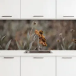 Zonnehoed - Droogbloemen - Geel - Warm keuken achterwand 2 middel -3d