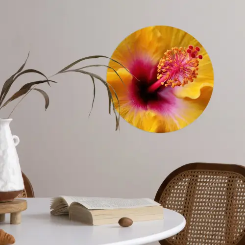Geel - Hibiscus - Tropisch Wandcirkel behangsticker klein -sfeer3
