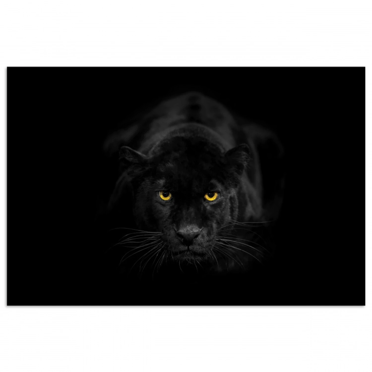 Panter - Dieren - Zwart - Ogen poster papier klein -3d