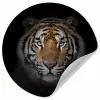 Tijger - Wilde dieren - Portret - Zwart - Dieren Wandcirkel behangsticker klein -3d