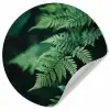 Varenblad - Groen - Structuur - Wazig Wandcirkel behangsticker klein -3d