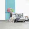 Kiwi - Blauw - Surrealistisch fotobehang vinyl groot -slaapkamer