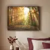 Bos - Herfst - Zon - Landschap - Natuur - Bomen - Bladeren Textielframe zwart klein -sfeer1