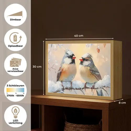 Vogels - Tak - Winter - Sneeuw Light Box met batterij (Wandlamp) middel -USP_websiteoverzichtNL