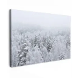 Bos - Sneeuw - Winter - Natuur - Wit canvas 2cm klein -z3d