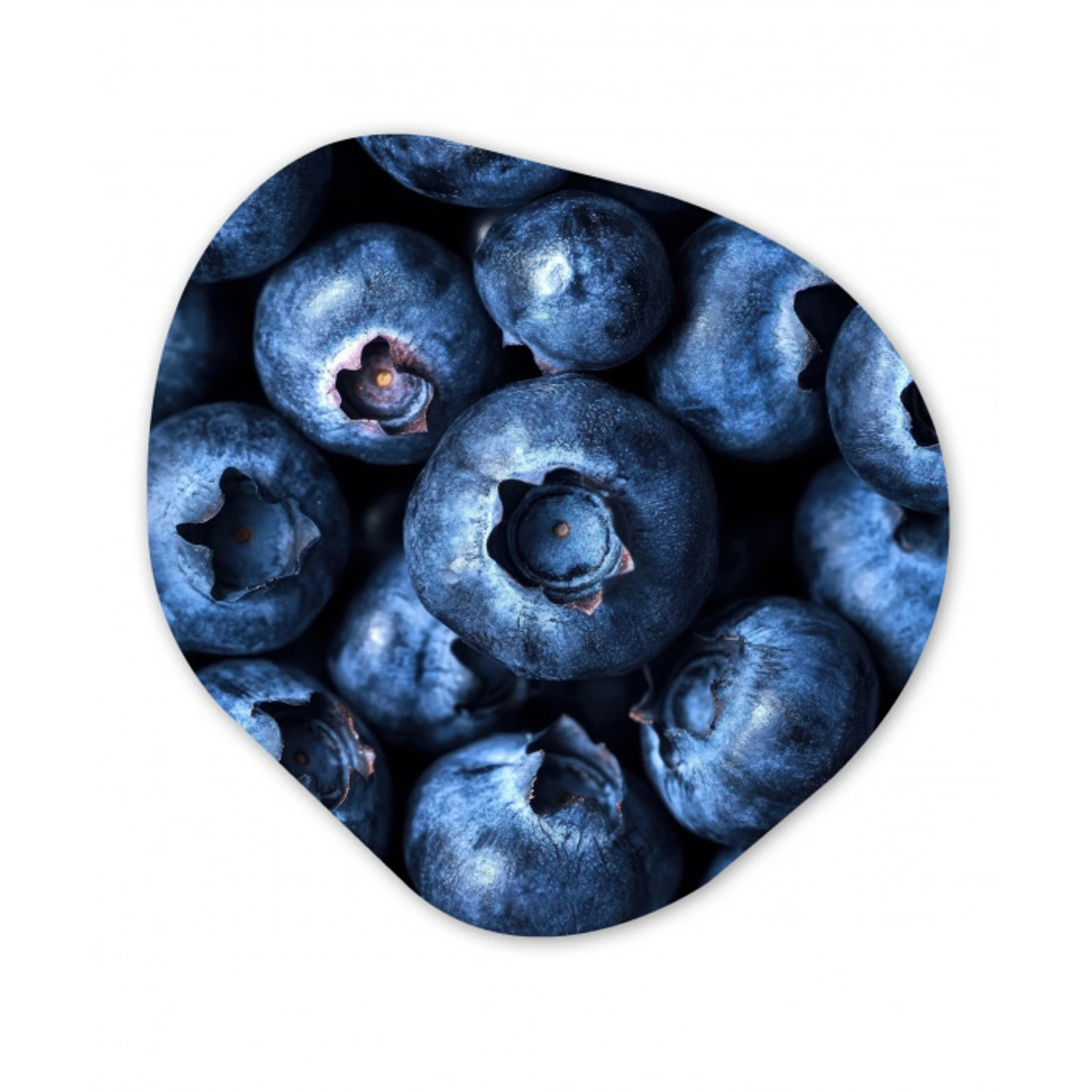 Bessen - Blauw - Fruit Wandcirkel Organisch Forex 3mm klein -3d