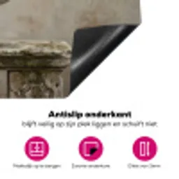 Zwaan - Elegant - Dieren - Wit Inductie beschermer vinyl 3mm klein -wsfeer4_website