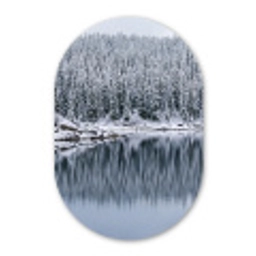 Bos - Reflectie - Meer - Winter - Serene Wandcirkel Ovaal Forex klein -3d