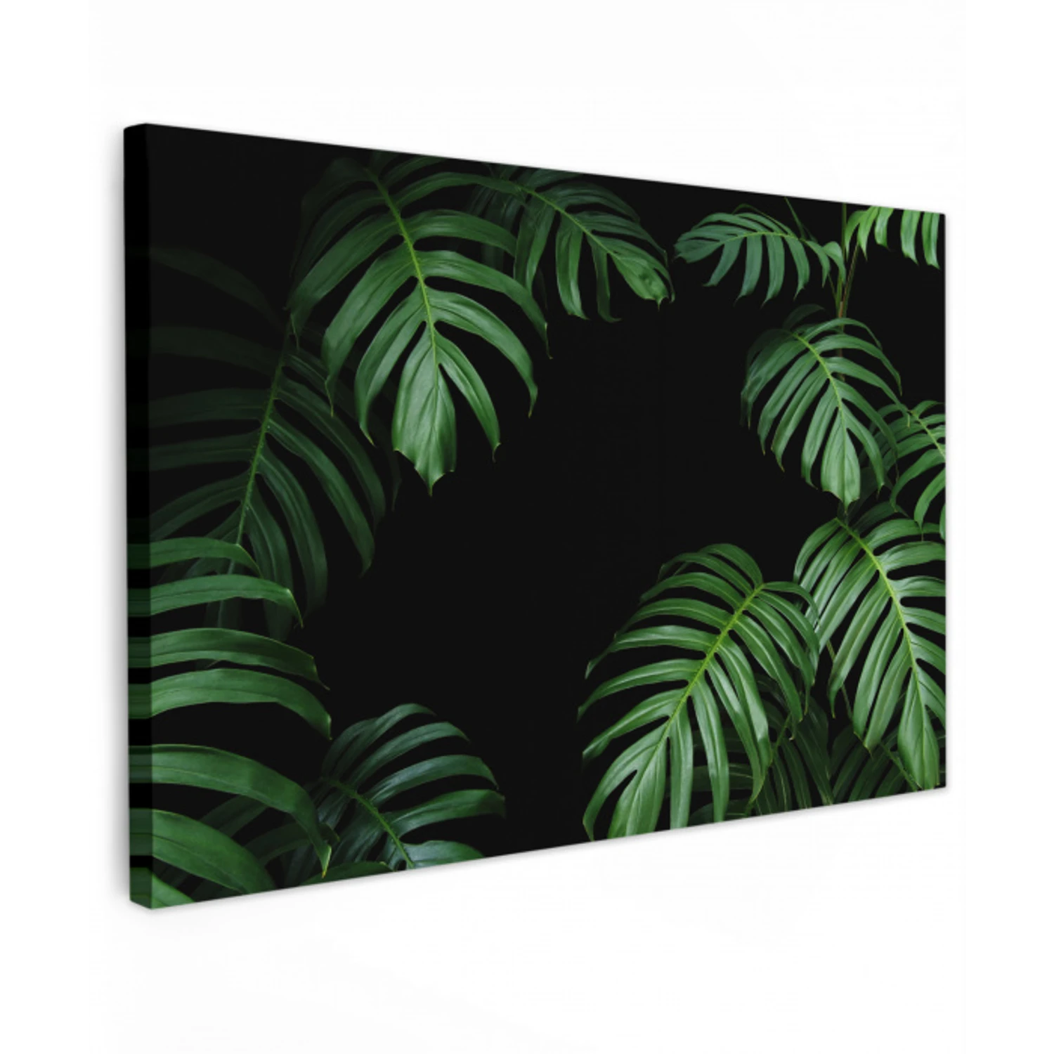 Jungle - Planten - Monstera - Jongens - Meisjes - Kinderen canvas 2cm klein -z3d