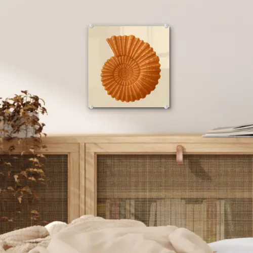 Schelp - Oranje - Ribbels plexiglas 5mm klein -sfeer4
