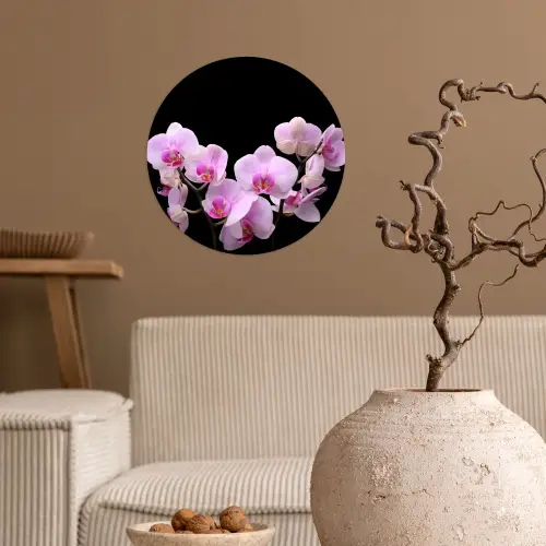 Orchidee - Bloemen - Roze - Flora Wandcirkel behangsticker klein -sfeer1
