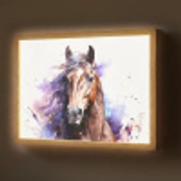 Paard - Dieren - Meisjes - Paars - Bruin Light Box met batterij (Wandlamp) middel -z3d_website