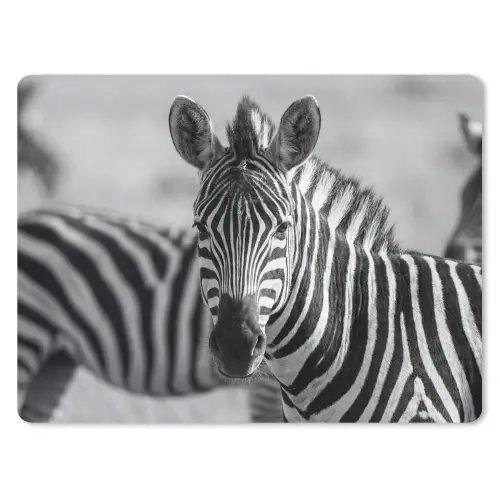 Zebra's - Zwart - Wit muismat rubber klein -3d