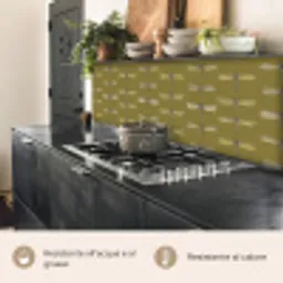 Libellen - Patroon - Groen keuken achterwand 2 middel 871 -usp_IT