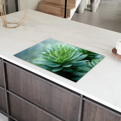 Blad - Plant - Groen - Textuur Inductie beschermer vinyl 3mm klein -sfeer8