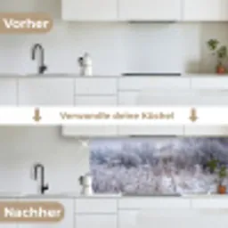 Schermbloem - Rijp - Kristallen - Winter - Delicaat keuken achterwand 2 middel -voor-na_DE