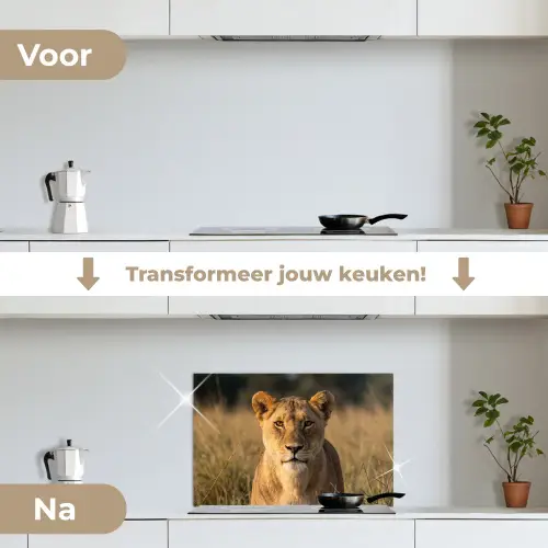 Leeuwin - Gras - Geel keuken achterwand spatscherm klein -voor_na_NL