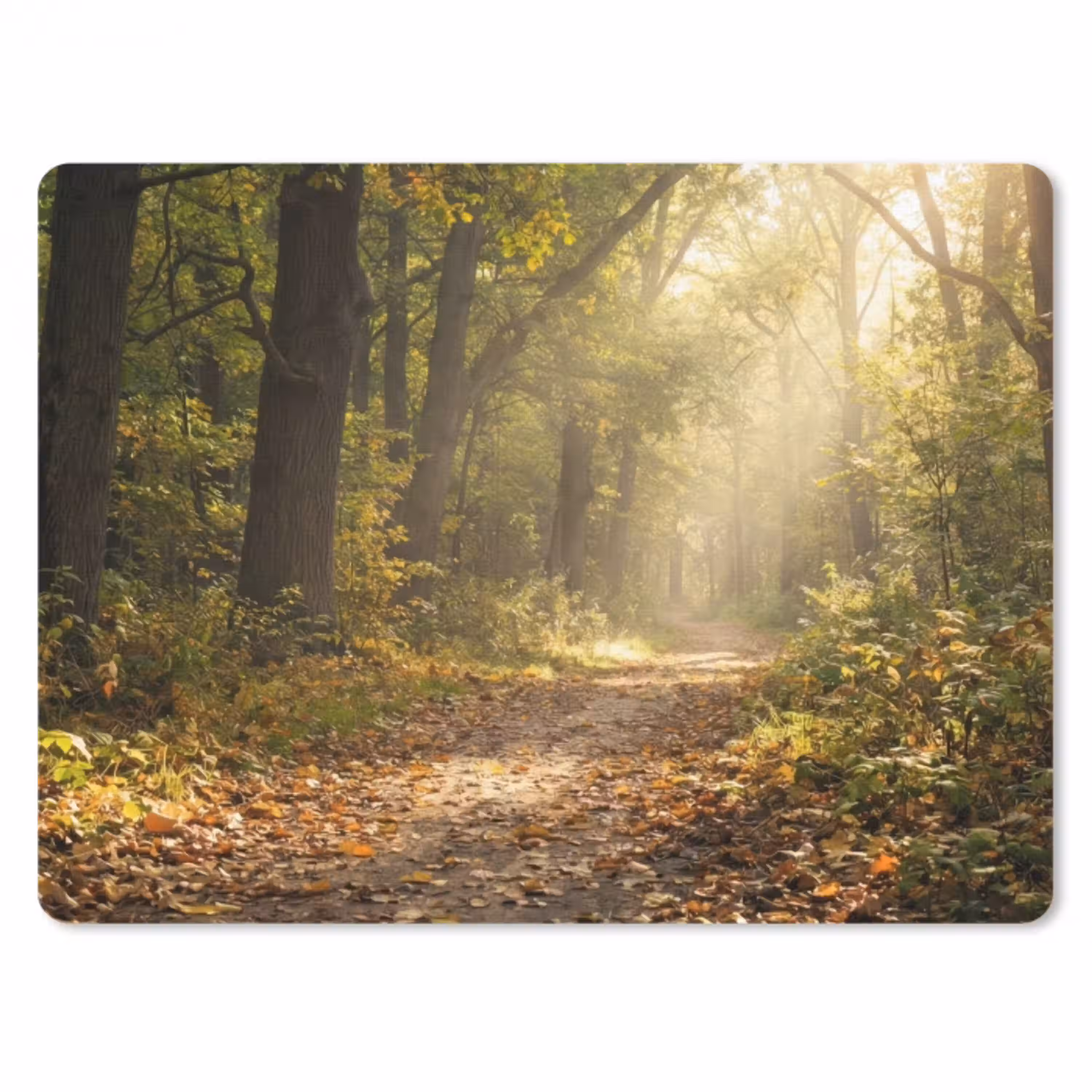 Zonlicht - Bospad - Bomen muismat rubber klein -3d