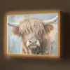 Schotse hooglander - Dieren - Koe - Street art Light Box met batterij (Wandlamp) middel -z3d_website