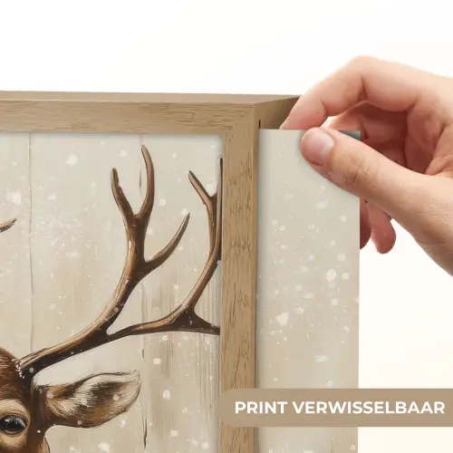 Kerstman - Rendier - Sneeuw - Kleurrijk Light Box met batterij (Wandlamp) middel -USP_websiteprintNL