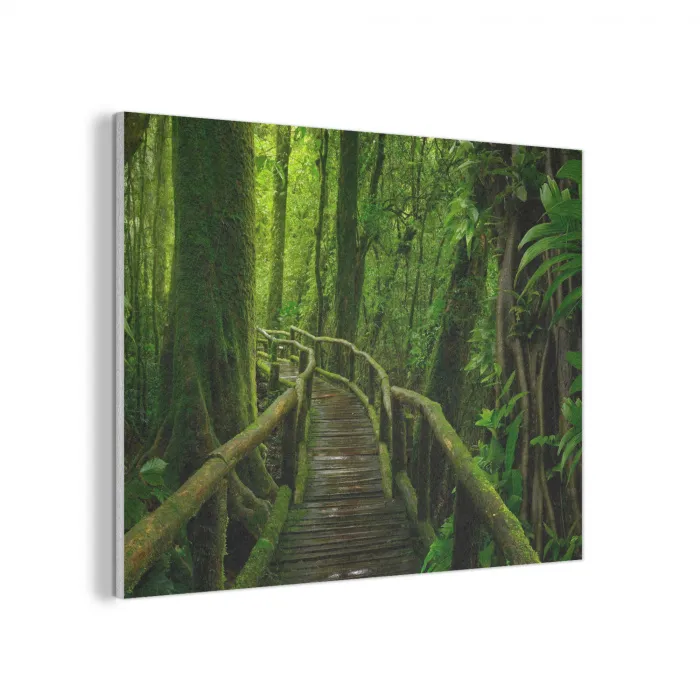 Jungle - Brug - Mos - Natuur - Tropisch PET vilt klein -3d