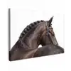 Portret - Paard - Elegant Tuinposter op houten frame 2 cm dik klein -3d